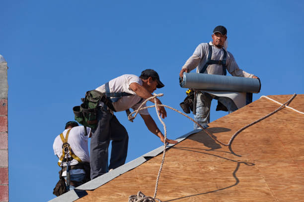 Roof Gutter Cleaning in South Amboy, NJ